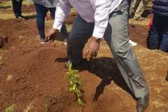 Chairman-on-a-tree-planting-exercise