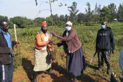 Tree-planting activities by member-saw millers