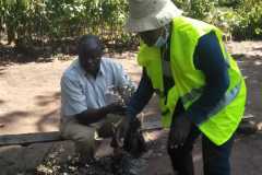 Tree-planting activities by member-saw millers