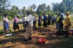 Tree-planting activities by member-saw millers