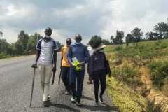 Tree-planting activities by member-saw millers