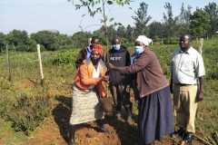 Tree-planting activities by member-saw millers