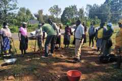 Tree-planting activities by member-saw millers