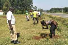 Tree-planting activities by member-saw millers