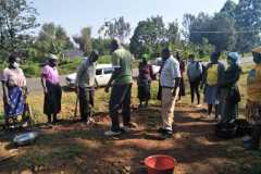 Tree-planting activities by member-saw millers