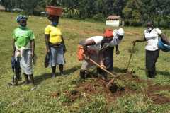 Tree-planting activities by member-saw millers