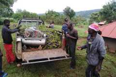 Tree-planting activities by member-saw millers