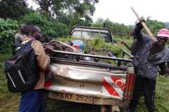 Tree-planting activities by member-saw millers